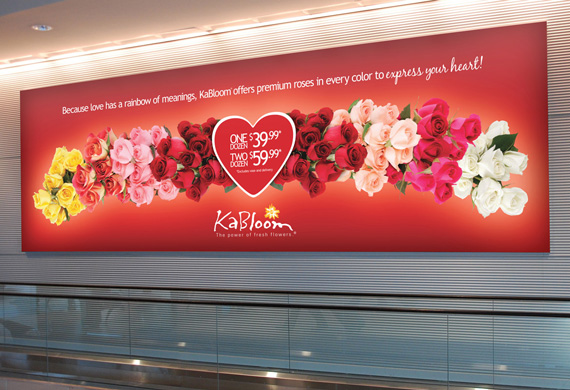 Retail Display Package Design